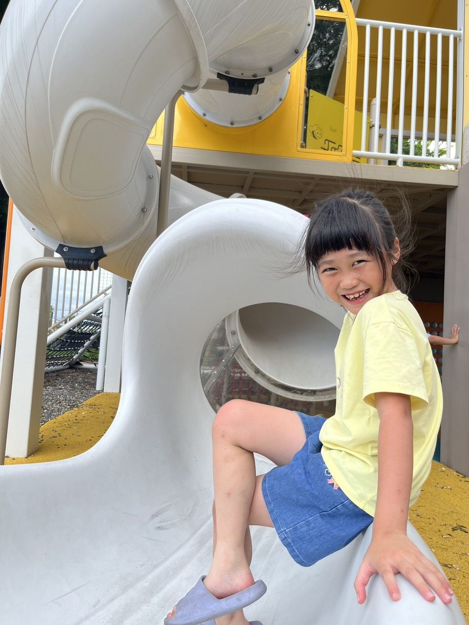 2026 育心暑期班