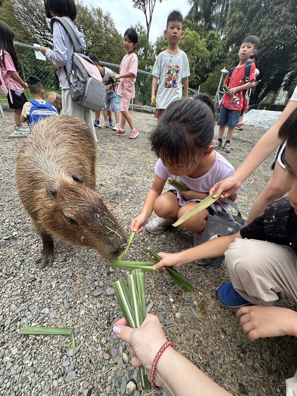 2026 育心暑期班