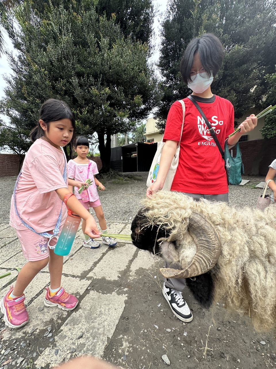 2026 育心暑期班